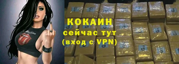 эйфоретик Арсеньев