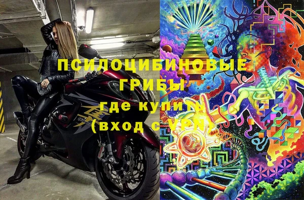 стаф Армянск