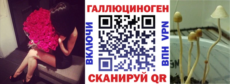 гидра ТОР  Козьмодемьянск  Псилоцибиновые грибы Magic Shrooms 